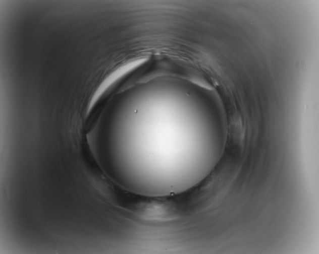 X0000088910412200706081345