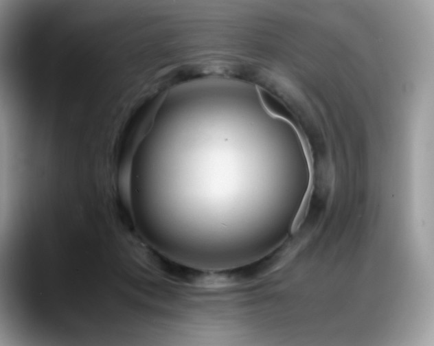 X0000088910413200706081345