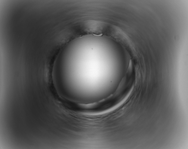X0000088910416200706081345