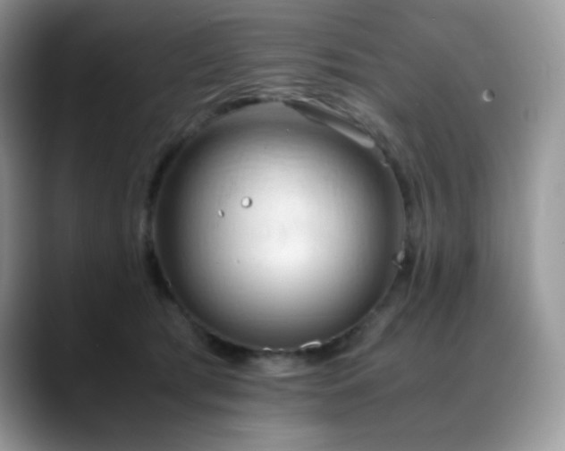 X0000088910417200706081345