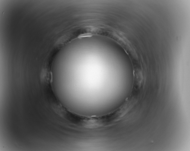 X0000088910419200706081345