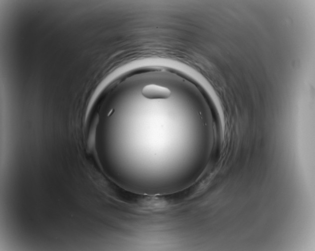 X0000088910421200706081345