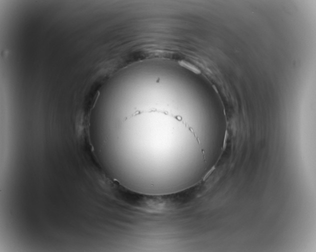 X0000088910423200706081345