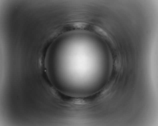 X0000088910424200706081345