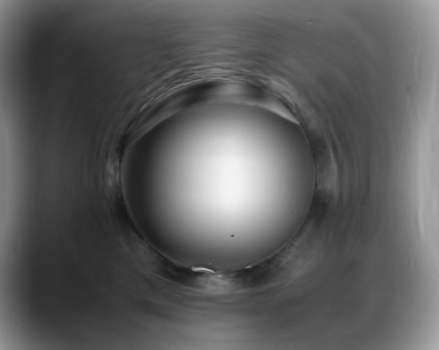 X0000088910425200706081345
