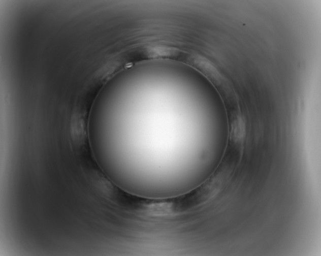 X0000088910426200706081345