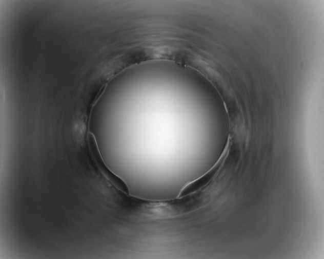 X0000088910427200706081345