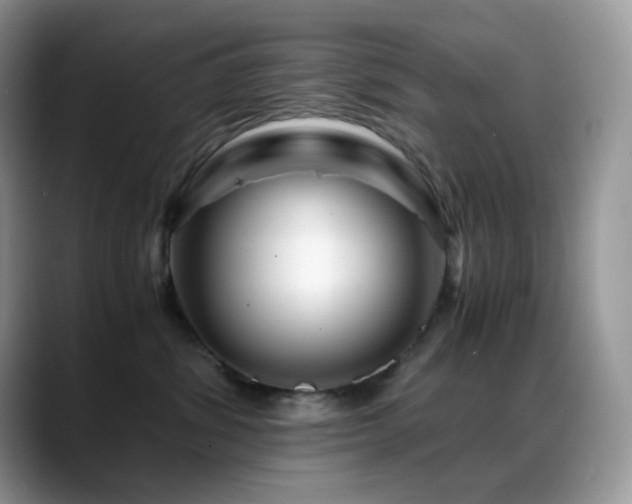 X0000088910428200706081345