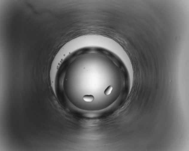 X0000088910429200706081345