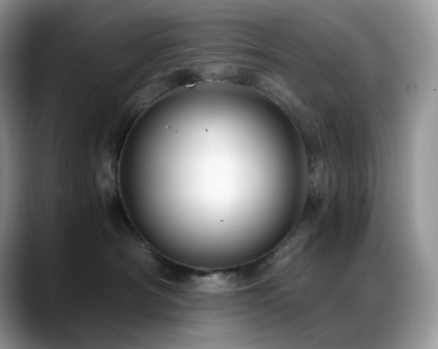 X0000088910430200706081345