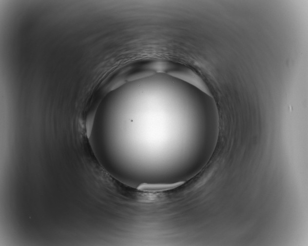 X0000088910432200706081345