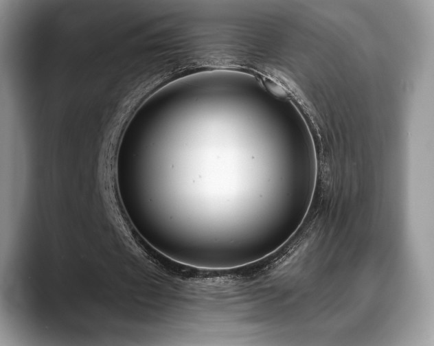 X0000088910433200706081344