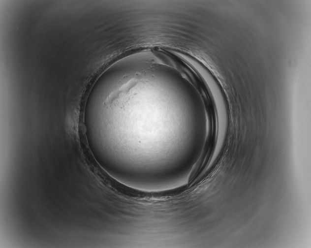X0000088910434200706081344