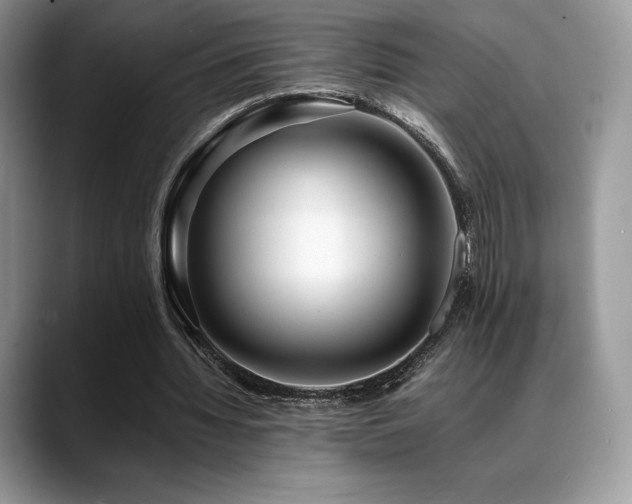 X0000088910436200706081344