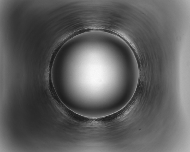 X0000088910437200706081344