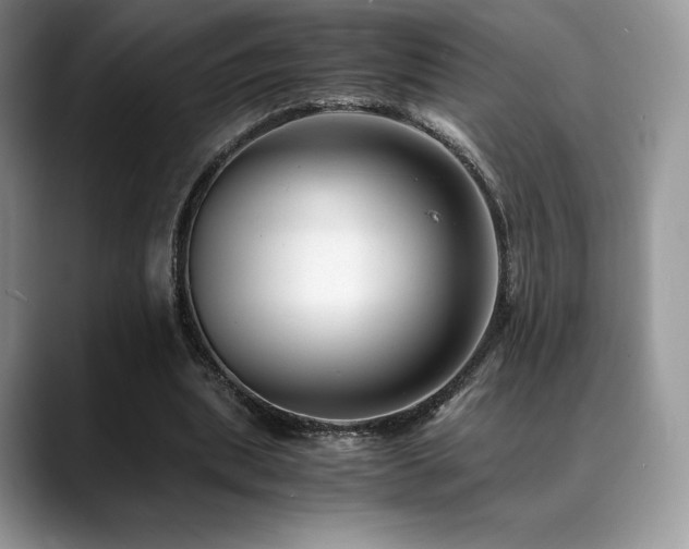 X0000088910439200706081344