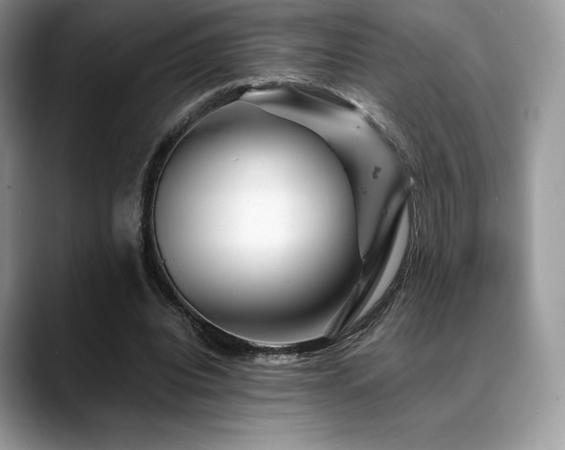 X0000088910440200706081344