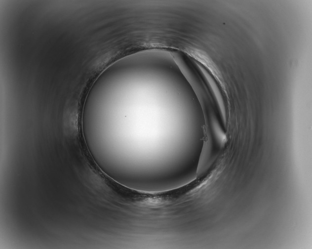X0000088910441200706081344