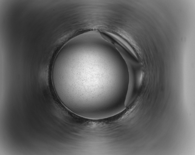 X0000088910442200706081344