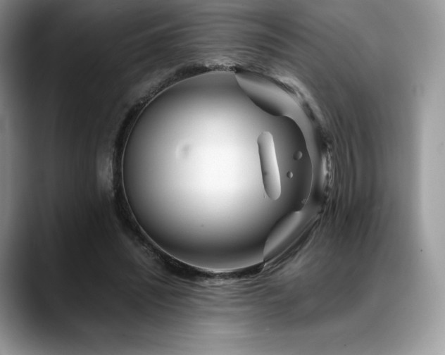 X0000088910444200706081344