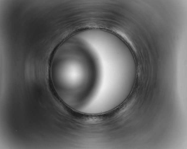 X0000088910445200706081344