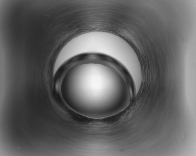 X0000088910448200706081344