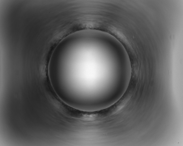 X0000088910450200706081344