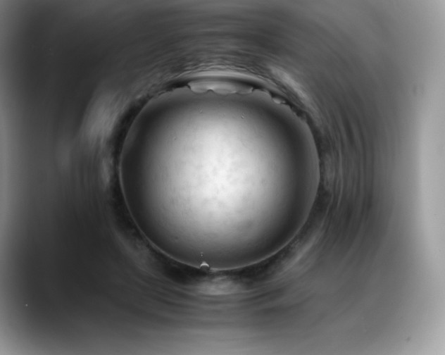 X0000088910451200706081344