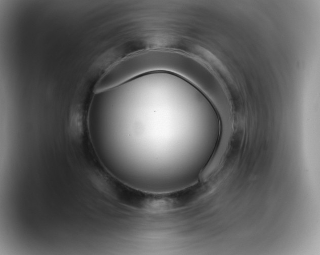 X0000088910452200706081344