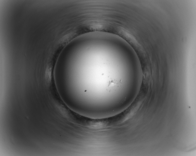 X0000088910454200706081344