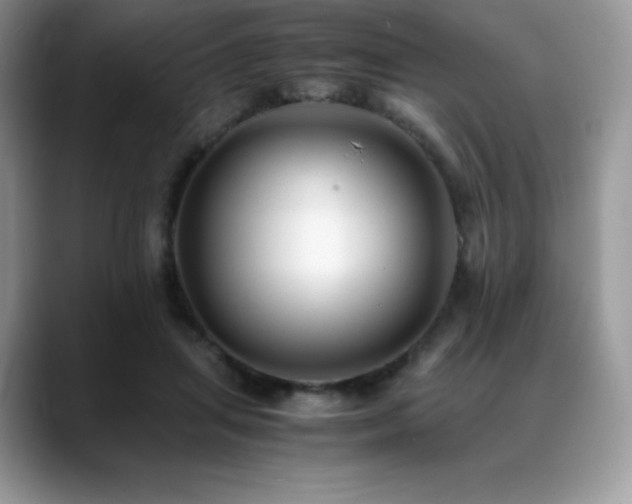 X0000088910455200706081344