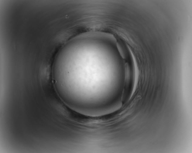 X0000088910458200706081344