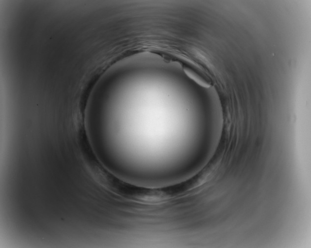 X0000088910459200706081344