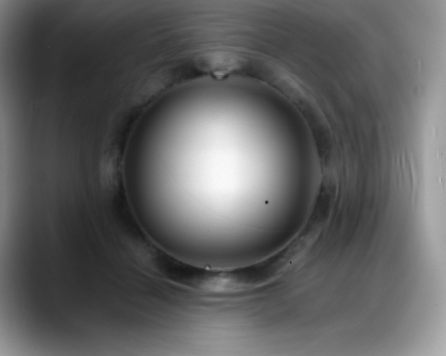 X0000088910460200706081344