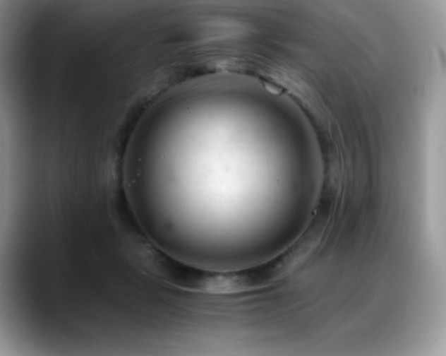 X0000088910461200706081344