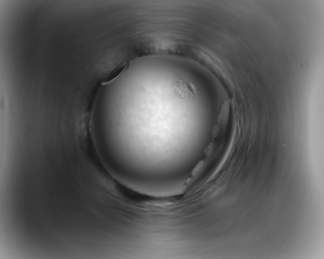 X0000088910462200706081344