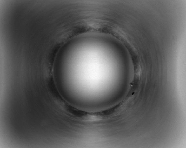 X0000088910464200706081344
