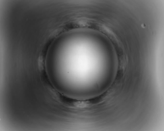 X0000088910465200706081344