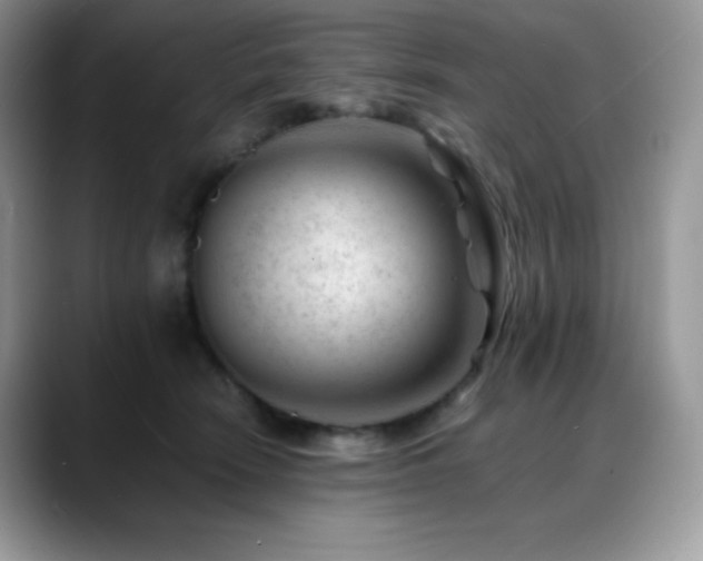 X0000088910466200706081344