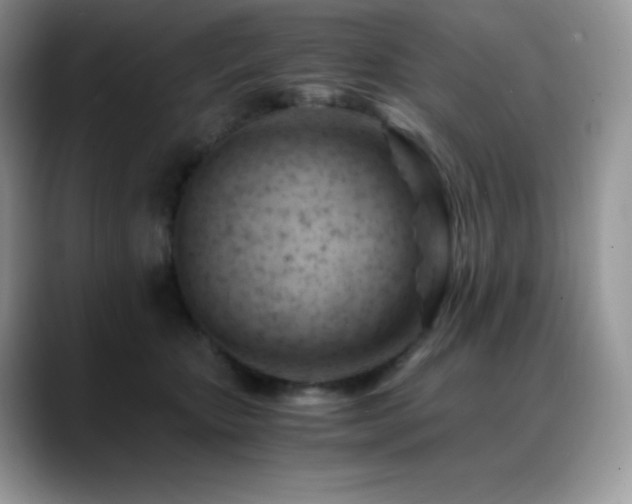 X0000088910467200706081344