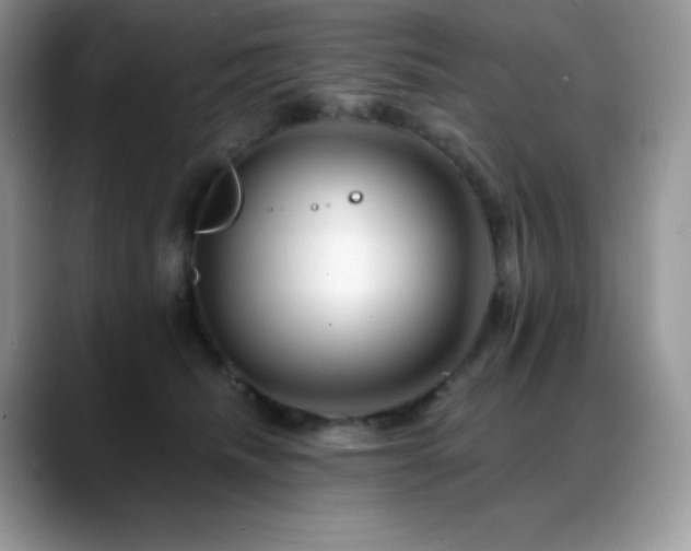 X0000088910468200706081344