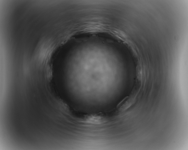 X0000088910471200706081344