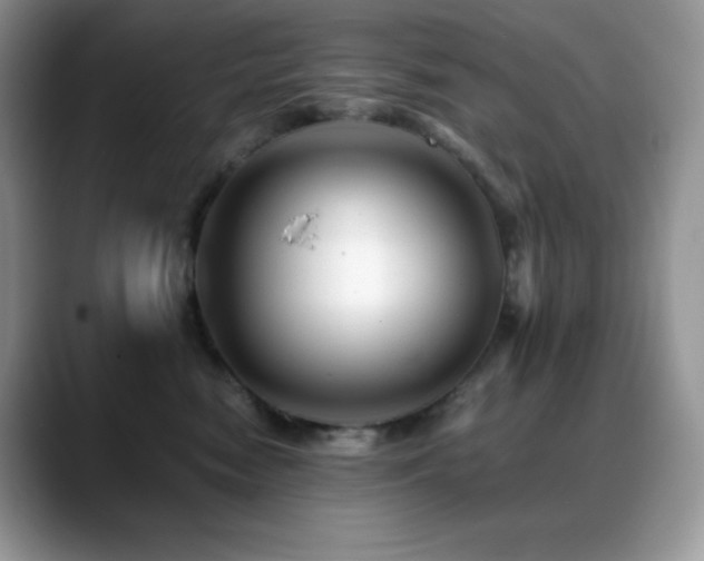 X0000088910474200706081344