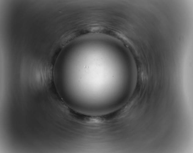 X0000088910475200706081344