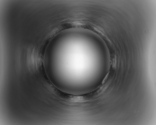 X0000088910476200706081345