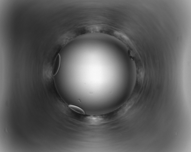 X0000088910477200706081345