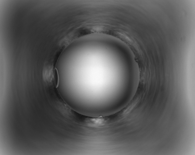 X0000088910478200706081345