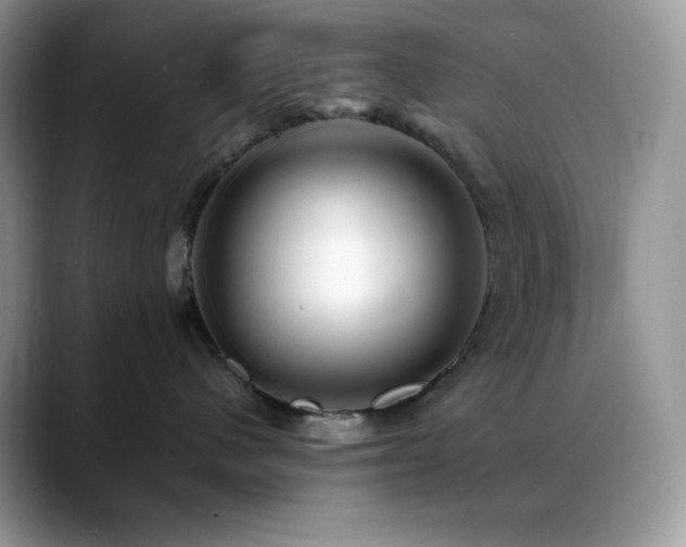 X0000088910480200706081345
