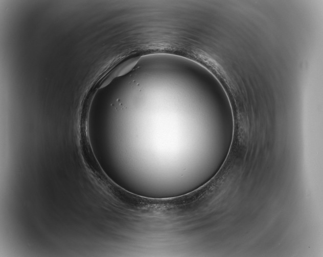 X0000088910482200706081344