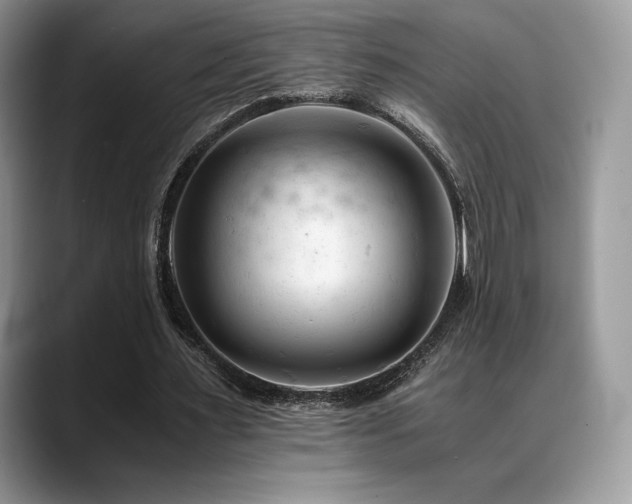 X0000088910483200706081344